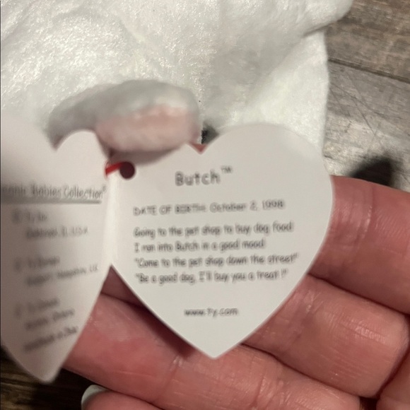TY beanie baby “butch” (1998) - Picture 2 of 3